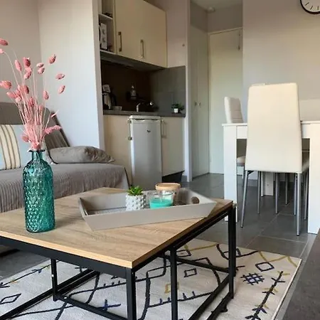 Azur 015 Yourhosthelper Classe 2 Etoiles Apartment *